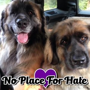 Meet your Posher, Shonnie